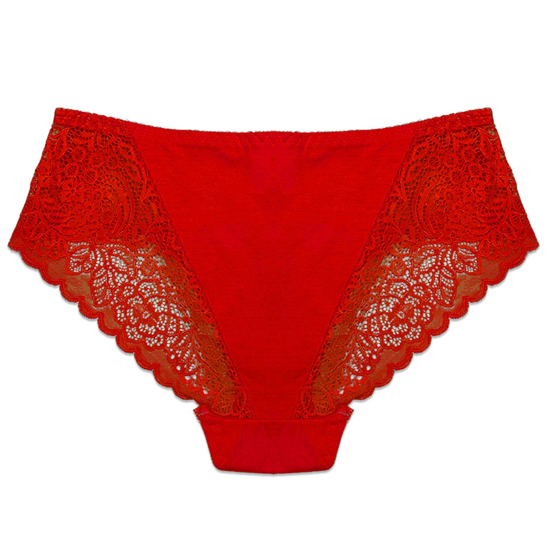 Pack of 3 Briefs Panties - Lace Desire